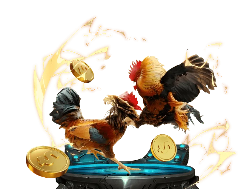Hoàn Trả Hàng Tuần